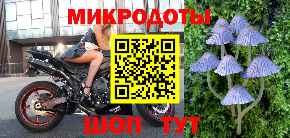 Галлюциногенные грибы ЛСД Карасук