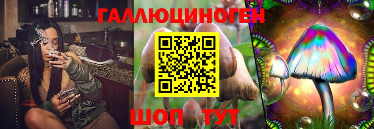 Карасук  Псилоцибиновые грибы Cubensis  Вход с VPN 